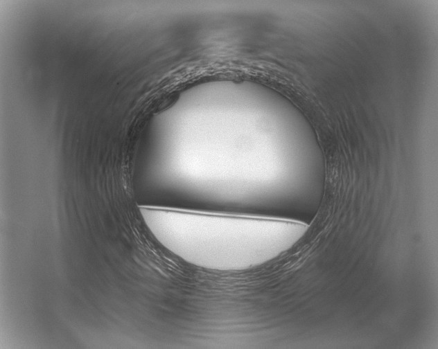 X0000067841490200604130931
