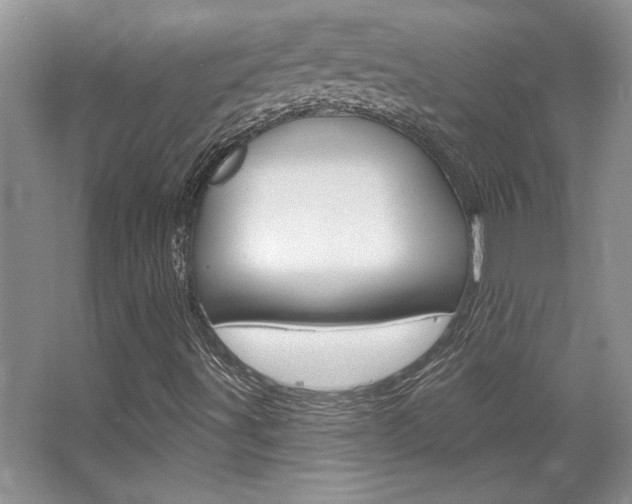 X0000067841491200604130931