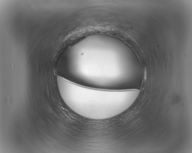 X0000067841492200604130931