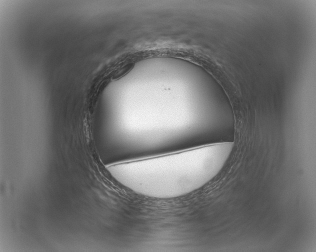 X0000067841493200604130931