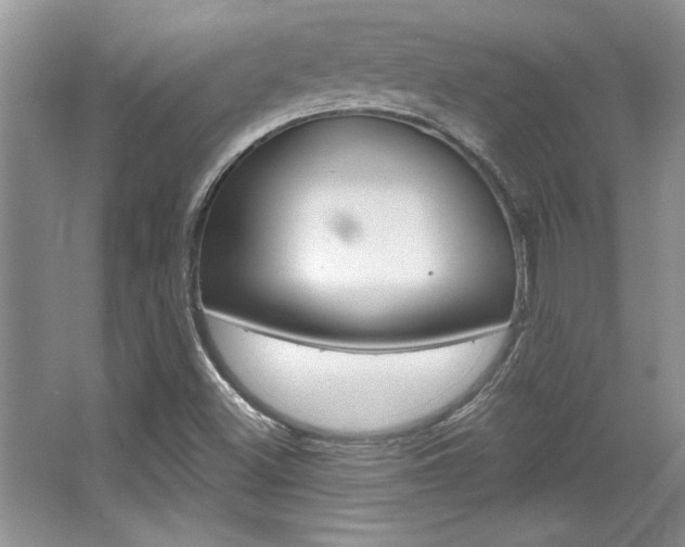 X0000067841500200604130931