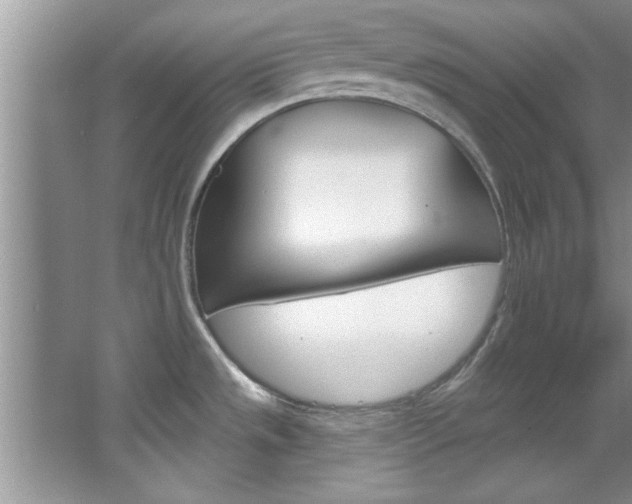 X0000067841533200604130931