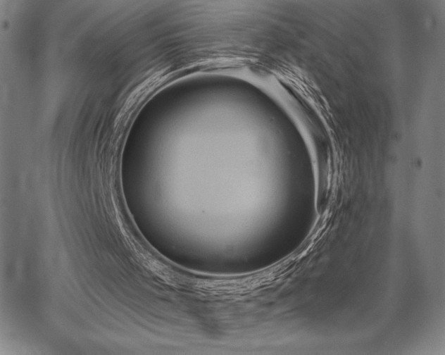 X0000067840001200604131238