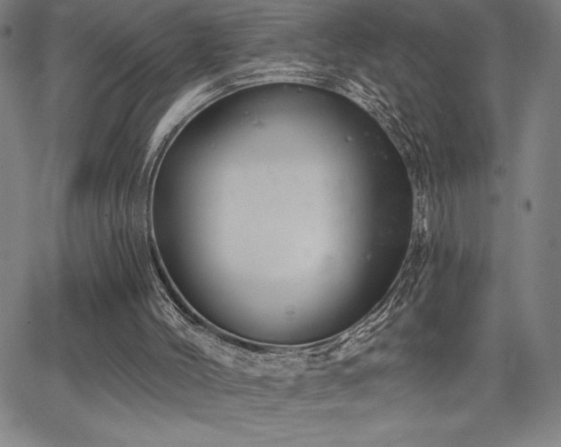 X0000067840004200604131237