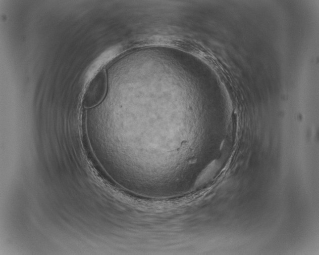 X0000067840006200604131237