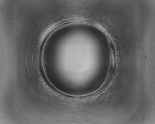 X0000067840007200604131237