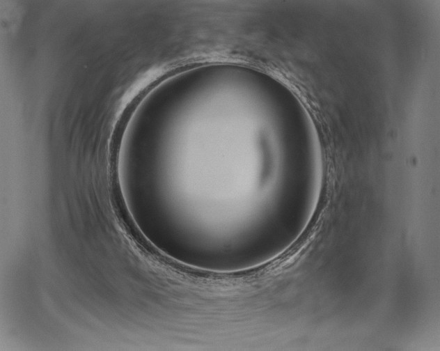 X0000067840008200604131237