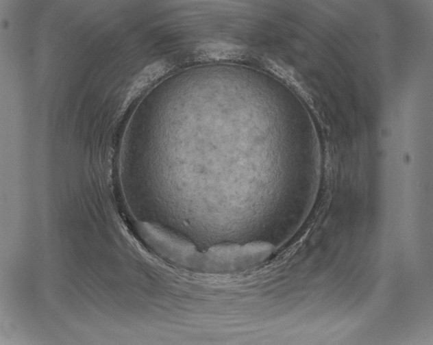 X0000067840010200604131237