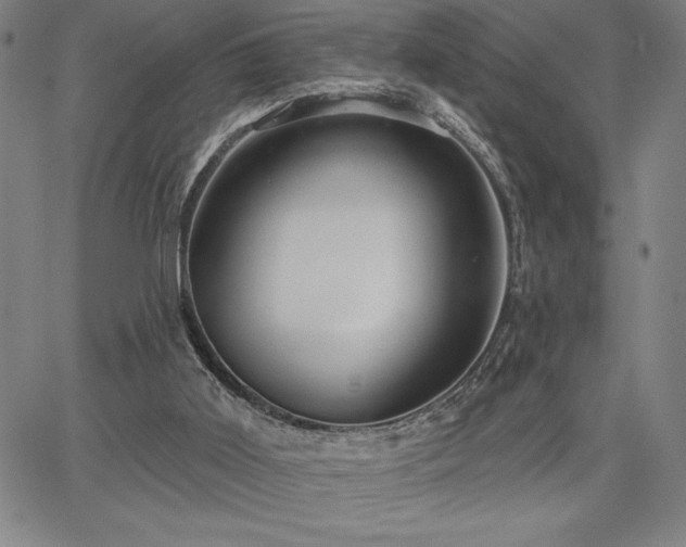 X0000067840011200604131237