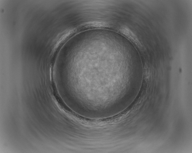 X0000067840014200604131237