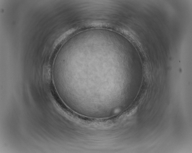 X0000067840016200604131237