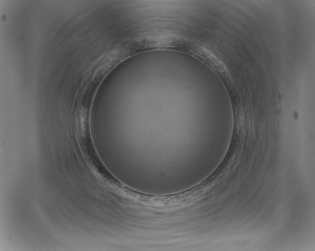 X0000067840026200604131237