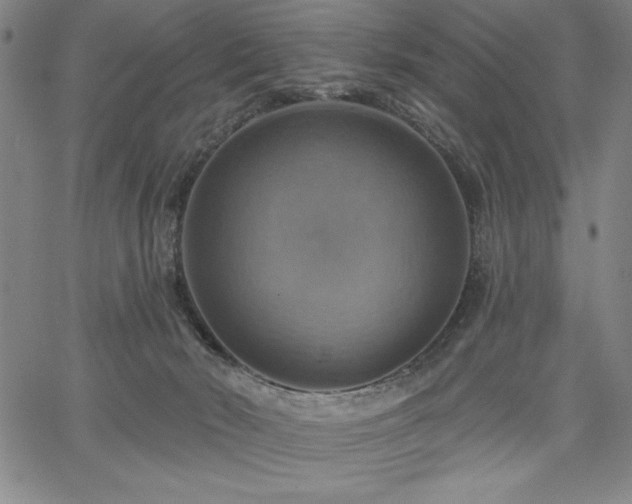 X0000067840030200604131237