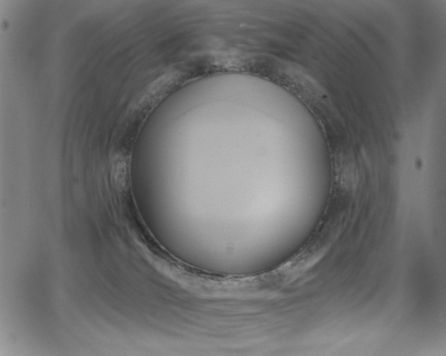 X0000067840036200604131237