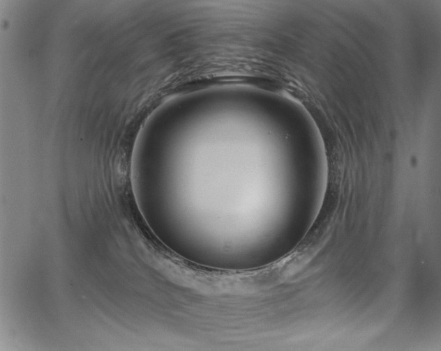 X0000067840040200604131237