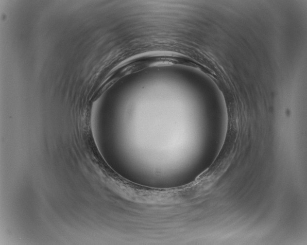 X0000067840044200604131237