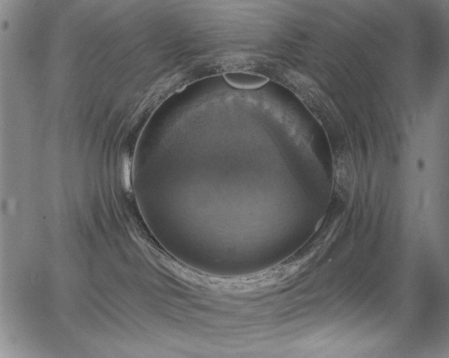 X0000067840046200604131237