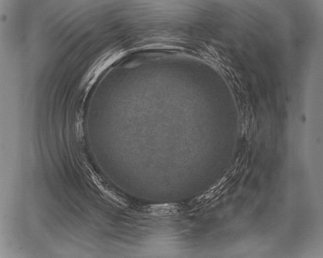 X0000067840050200604131236