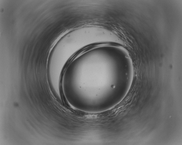 X0000067840052200604131236
