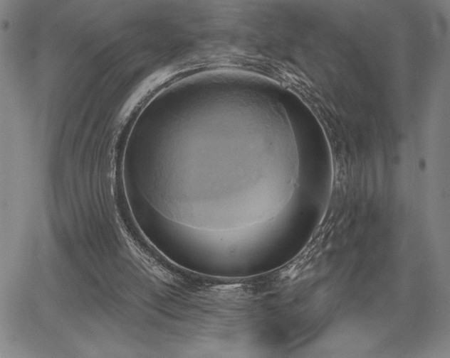 X0000067840054200604131236