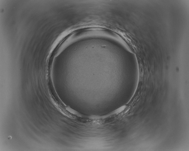 X0000067840056200604131236
