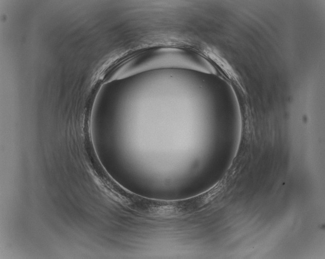 X0000067840058200604131236