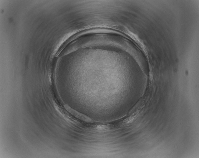 X0000067840060200604131236