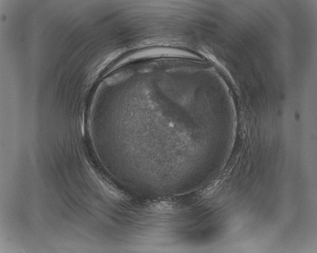X0000067840062200604131236