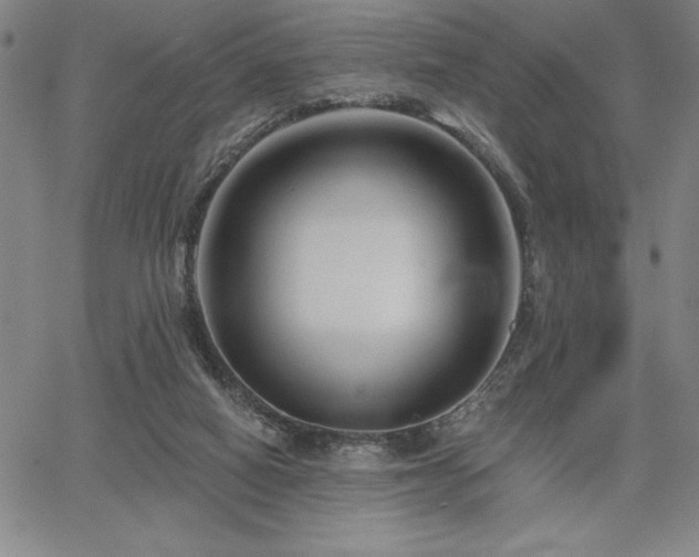 X0000067840066200604131236