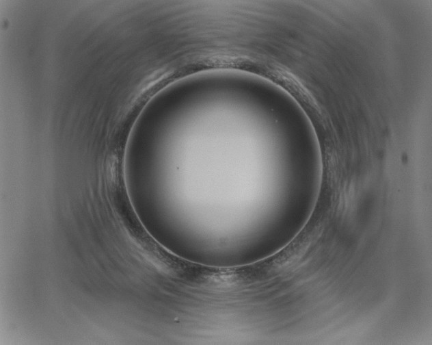 X0000067840071200604131236