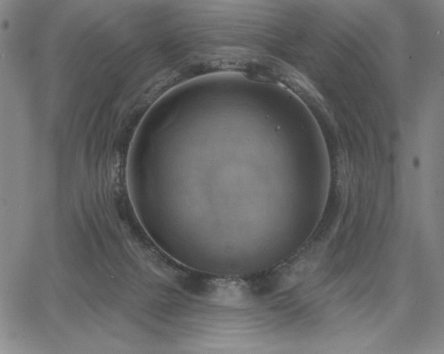X0000067840073200604131236
