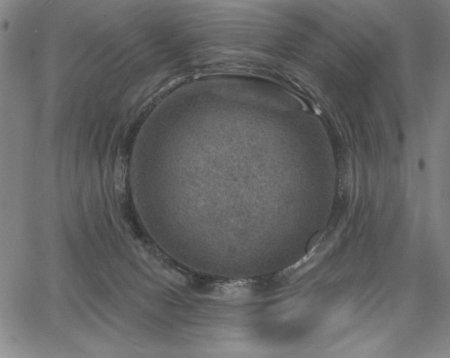 X0000067840078200604131236