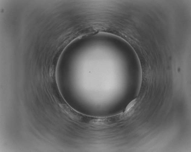 X0000067840082200604131237