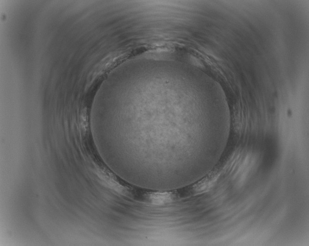 X0000067840085200604131237