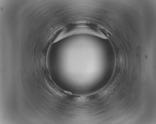 X0000067840092200604131237