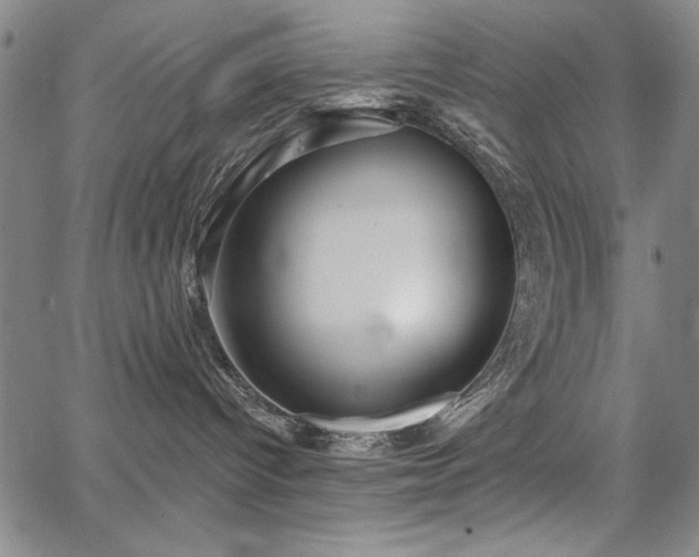 X0000067840096200604131237