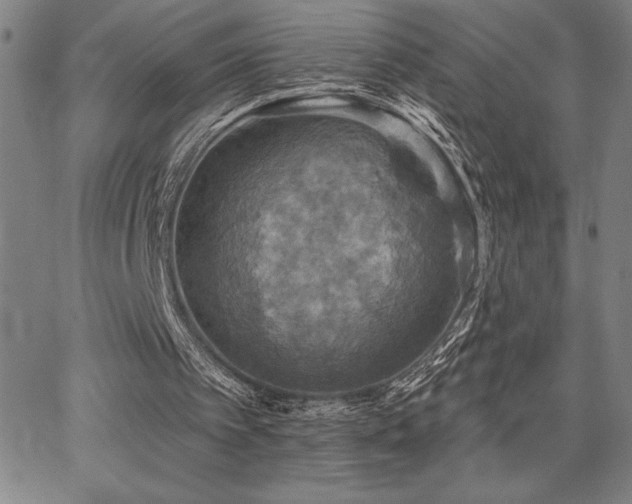 X0000067840097200604131236