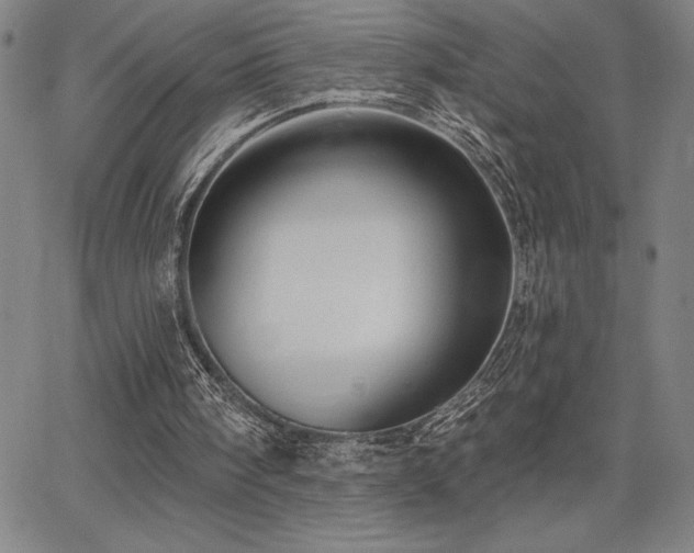 X0000067840098200604131236