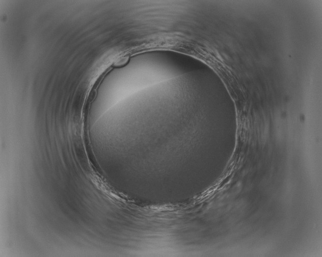 X0000067840100200604131236