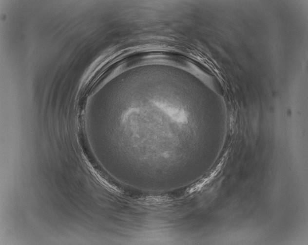 X0000067840101200604131236