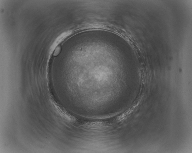 X0000067840104200604131236