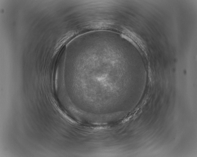 X0000067840105200604131236