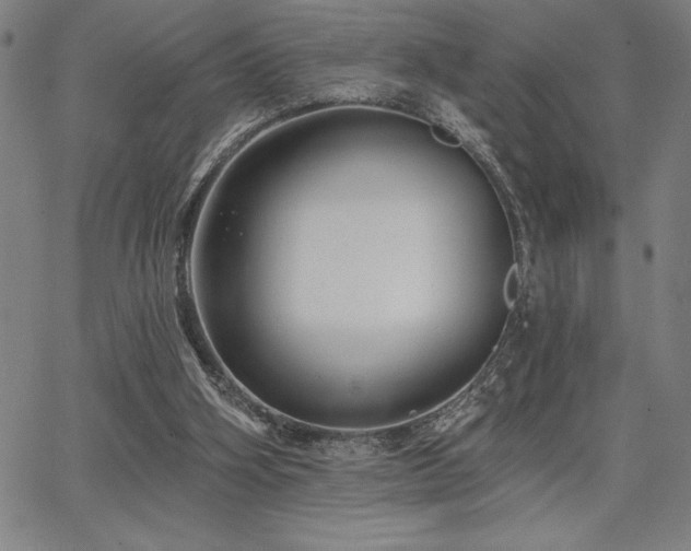 X0000067840106200604131236