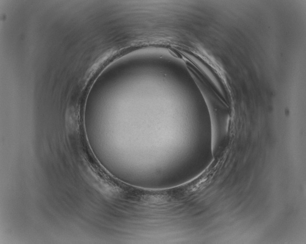 X0000067840107200604131236