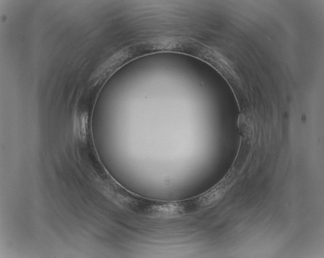 X0000067840118200604131236