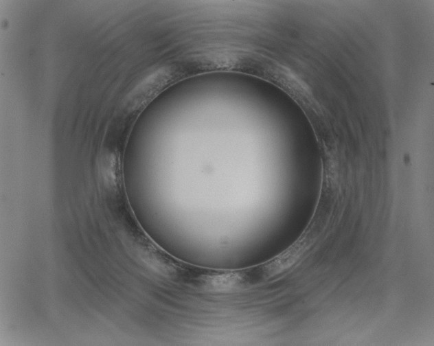 X0000067840122200604131236