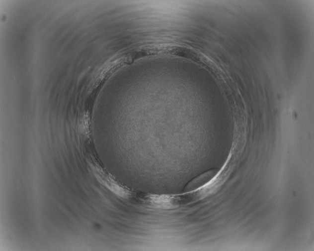 X0000067840144200604131235