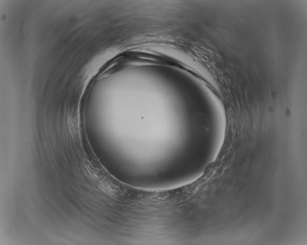 X0000067840148200604131234