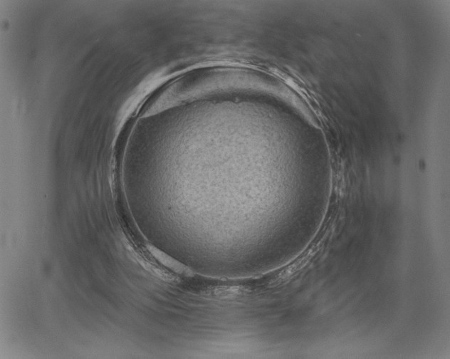 X0000067840152200604131235