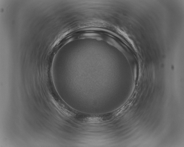 X0000067840154200604131235